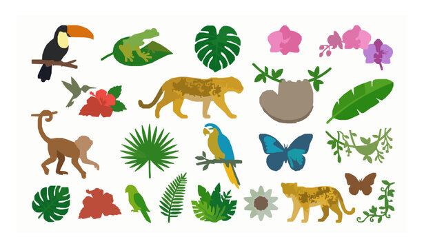Wild Rainforest Animals Birds Flowers and Tropical Leaves Vector Illustration Set