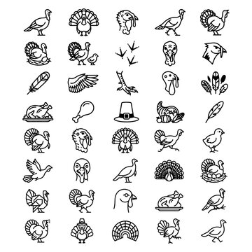 Turkey Bird Variety of Styles Poses and Life Chain Flat Line Silhouette Pack