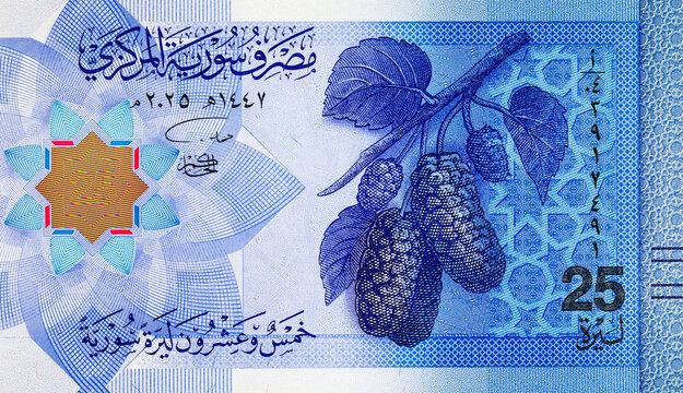 25 pounds Syrian banknote detailed engraving of a mulberry branch with berries and leaves. The new blue post-redenomination national currency of Syria.