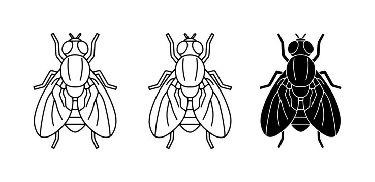 Fly Icons Set, Insect Vector Graphics, Pest Control Symbols