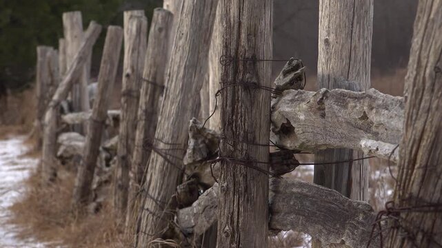 A detailed, shallow depth of field shot of an old cedar log fence, with vertical posts bound by rusted wire and weathered horizontal rails stretching off into a blurry winter landscape.