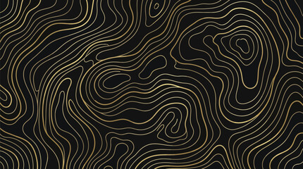 Fototapeta premium Elegant golden topographic lines create a sophisticated abstract vector illustration featuring flowing patterns and a luxurious metallic modern design aesthetic