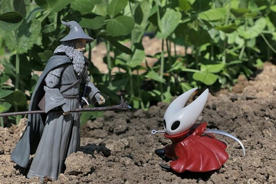 Action figure of wizard Gandalf from fantasy novels of J.R.R. Tolkien, meets figure of Hornet, main character of computer game Hollow Knight: Silksong, guarding fresh pea plants in garden. 