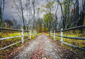 Fototapeta premium Trail in the Country