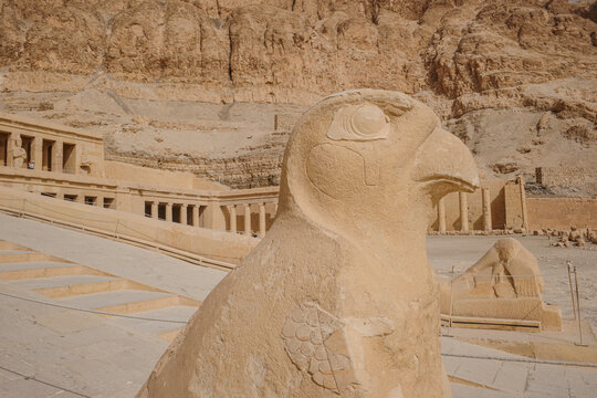 Luxor, Egypt - 28 Jan 2026: Close-up of Falcon (Horus) Statue at Mortuary Temple of Queen Hatshepsut, Luxor, Egypt