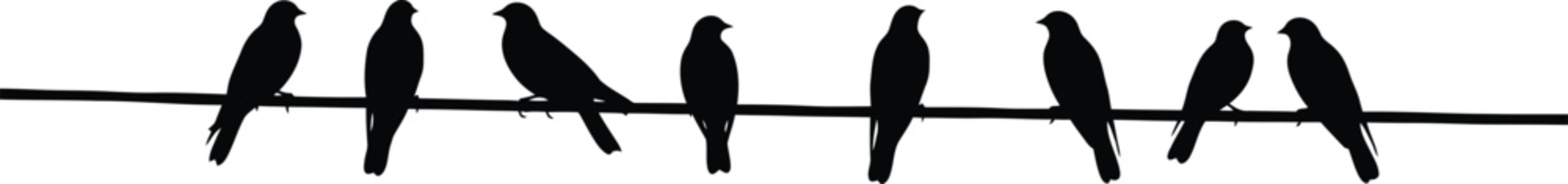 Birds on a wire silhouette set with a group of swallows or sparrows sitting on power line