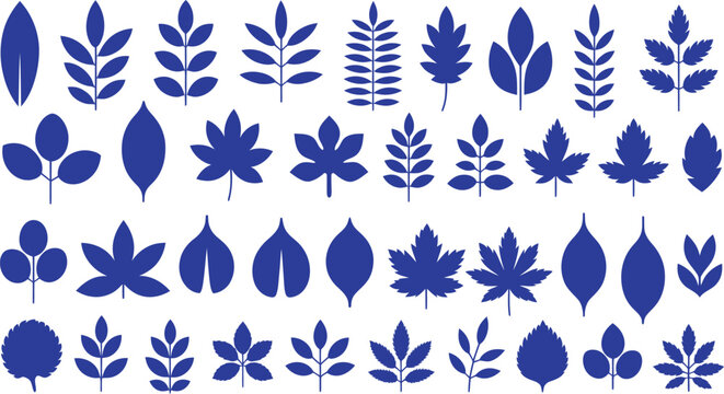 Royal blue autumn leaves silhouettes and botany shapes, Detailed foliage collection and organic hand-drawn illustration style, Big set of vector web icon designs for nature and environmental projects,