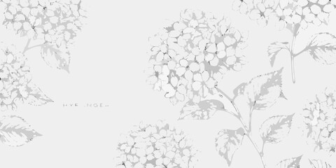 Fototapeta premium Hydrangea Floral Ornament Gray Line Drawings On White Background