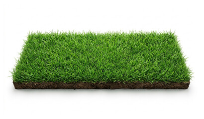Green grass field banner isolated on white background realistic 3D rendering illustration © Mousumi