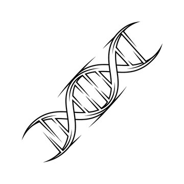 Twisted double helix dna cyber sigilism tattoo stencil flat vector.