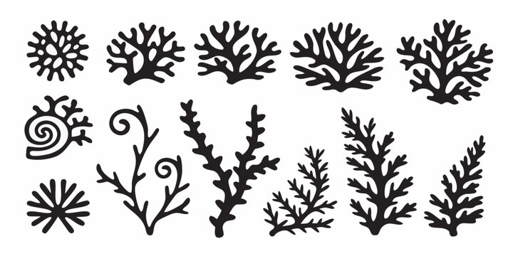 Coral and seaweed silhouettes black shapes on a white background