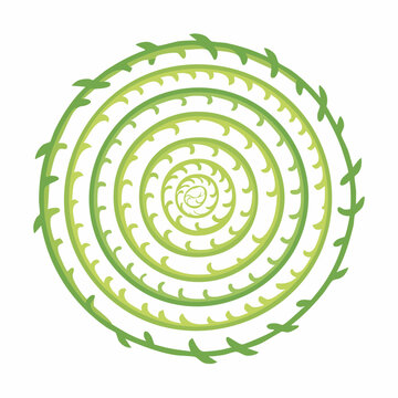 Green spiral vine pattern with thorns forming a circular mandala on a white background