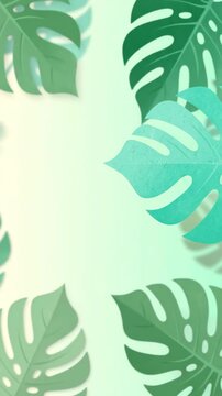A lively collection of tropical monstera leaves in green shades against pastel backgrounds, creating a fresh and natural vibe perfect for eco-friendly design or tropical themes.