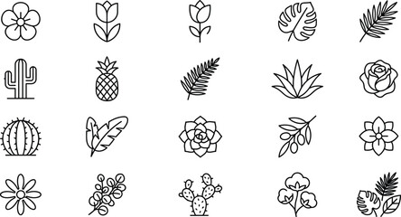 Botanical line art vector icon set featuring minimal flowers tropical leaves cactus succulent olive branch and cotton plant outline illustrations © MSTSUFIA
