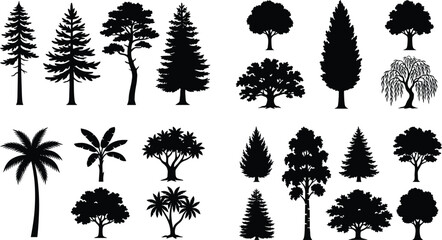 Fototapeta premium WebDiverse Tree Silhouette Collection with Pine Palm Tropical and Deciduous Trees Isolated for Nature Design Elements