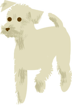 Schnoodle