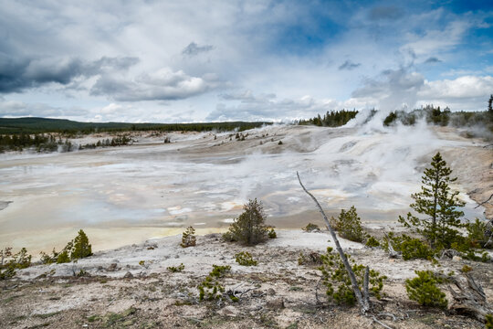 Steaming Fumaroles and Geysers of Norris Geyser Basin, Wyoming, USA