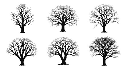Obraz premium Set of six black silhouettes of different leafless deciduous trees standing against a plain white background for design projects.