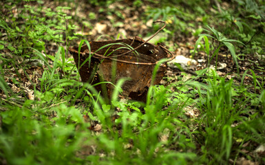 Fototapeta premium Old rusty bucket with handle abandoned in the green grass of a Croatian forest near historical war shelters. Nature reclaims old metal.