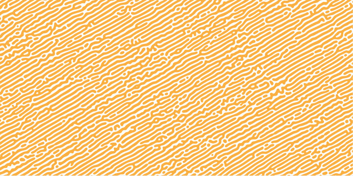 Minimalist diagonal lines with creative orange turing pattern vector design