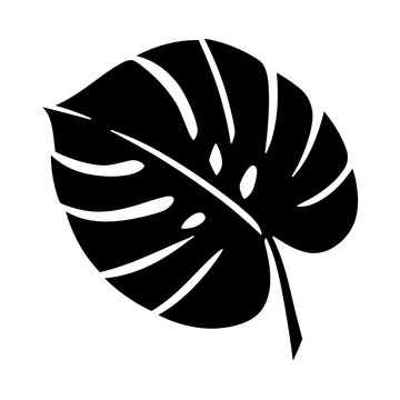 PNG Monstera leaf silhouette design.