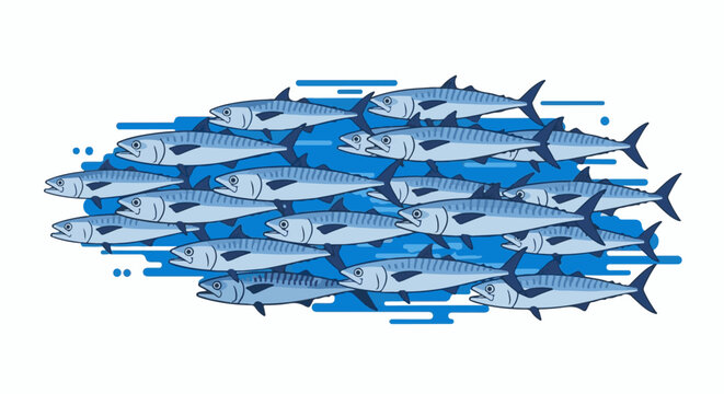 School of mackerel swimming in blue water with white background