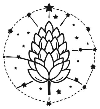 Botanical Hop Cone Illustration with Stars Circle Isolated on White Background Graphic