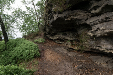 Fototapeta premium Sandstone cliffside trail near Grosser Zschirnstein in Saxon Switzerland, Germany.