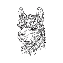 Fototapeta premium Black and white line of a stylized llama head alpaca animal face d