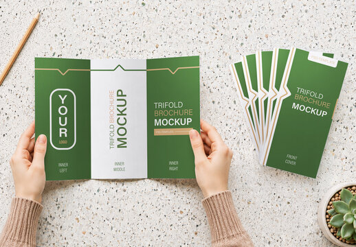 Modern Green Trifold Brochure Mockup with Hands, Pencil and Succulent on Terrazzo Desk