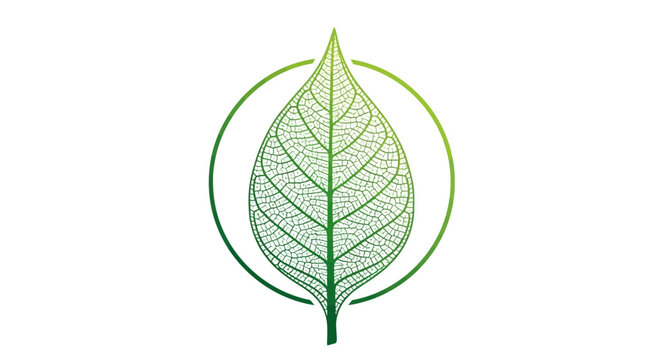 Green skeletal leaf venation icon within a circle, symbolizing nature, growth, organic concepts, biology, and eco-friendly sustainability.