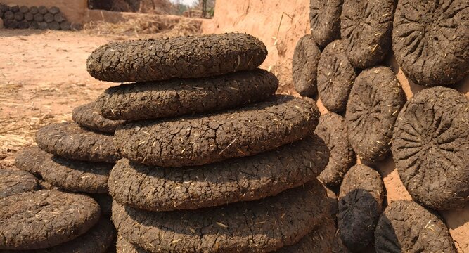 Dung cake in line with fields background at village atmospheric making process of dry in Sun shine making fuel for clay made stove buring fire traditional objects made by Indian women generated by AI