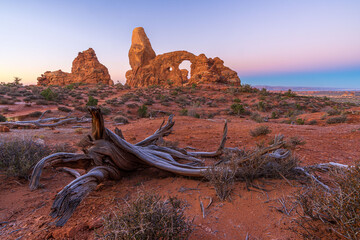 Turret Arch im Morgenlicht © Michael