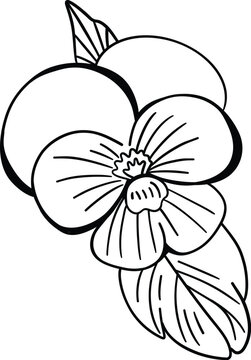 Violet flower vector illustration in black ink outline for logos, coloring book or a tattoo