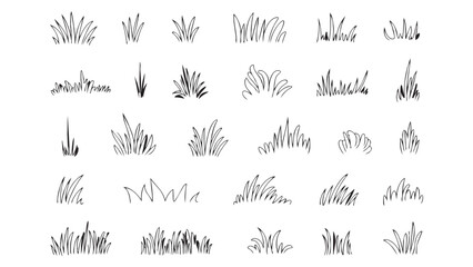 Collection of hand-drawn grass clumps and tufts isolated on transparent background. © Sara Studio
