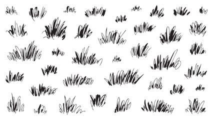 Hand drawn grass patches collection isolated on transparent background artistic sketches. © Sara Studio