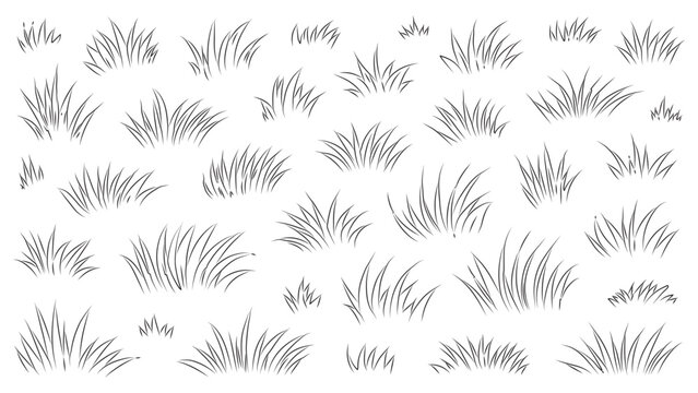 Thin line grass sketch collection for architectural rendering and nature landscape design.