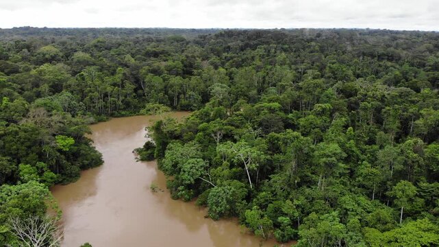Aerial view of Rio Tiputini in the Ecuadorian Amazon in flood. Very high river levels in February 2022 flooded the forest bordering Rio Tiputini in Yasuni National Park, Orellana province, Ecuador