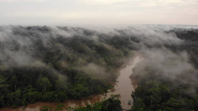 Aerial view of Rio Tiputini in the Ecuadorian Amazon in flood. Very high river levels in February 2022 flooded the forest bordering Rio Tiputini in Yasuni National Park, Orellana province, Ecuador