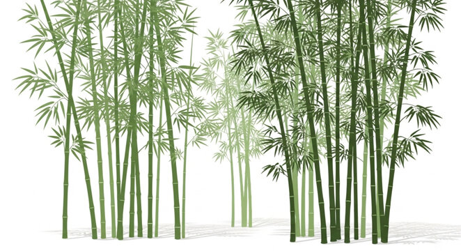 Tall green bamboo stalks with leaves in a forest setting.