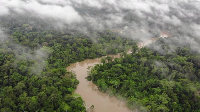Aerial view of Rio Tiputini in the Ecuadorian Amazon in flood. Very high river levels in February 2022 flooded the forest bordering Rio Tiputini in Yasuni National Park, Orellana province, Ecuador