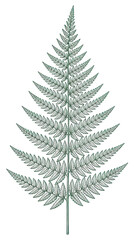Fototapeta premium Detailed studio lit vector illustration of a botanical fern leaf, featuring intricate foliage patterns in a vertical portrait orientation ideal for natural and elegant design projects.
