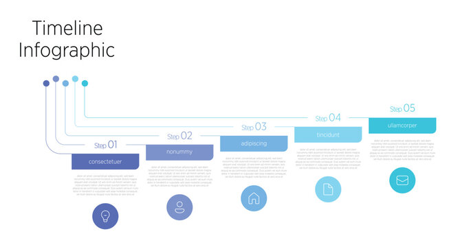 A clean, 5-step linear timeline infographic that clearly maps a short sequence of events or milestones, using simple icons and concise labels for quick understanding.