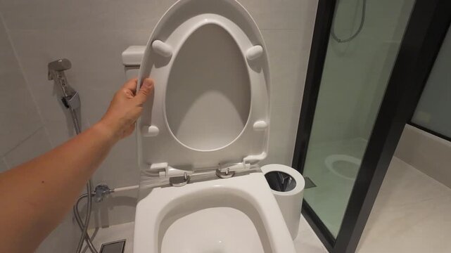 Handyman replace toilet seat hinge and rod.