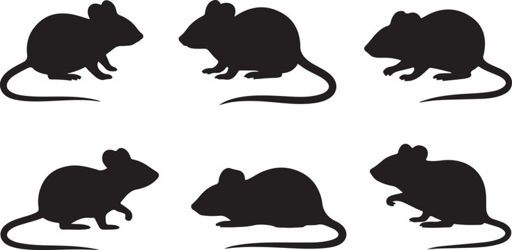 Cartoon mice walking and standing in different poses