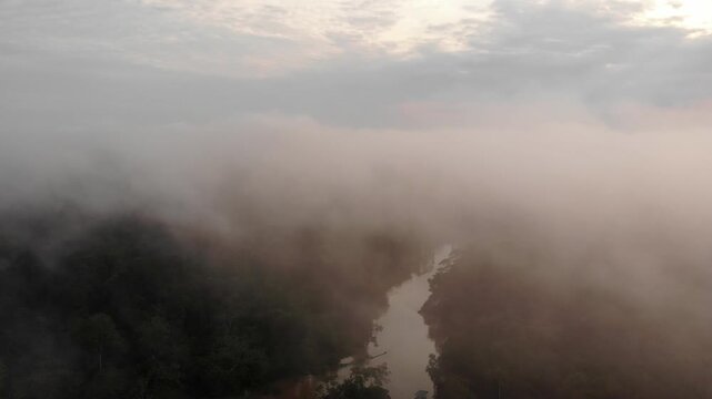 Aerial view of the misty rainforest canopy and Rio Tiputini at dawn. The river flooded following days of heavy rainfall. Rainforest bordering Rio Tiputini in Yasuni National Park, Ecuador.