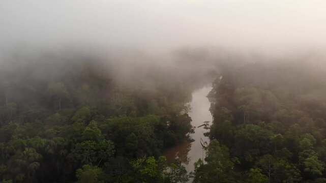 Aerial view of the misty rainforest canopy and Rio Tiputini at dawn. The river flooded following days of heavy rainfall. Rainforest bordering Rio Tiputini in Yasuni National Park, Ecuador.