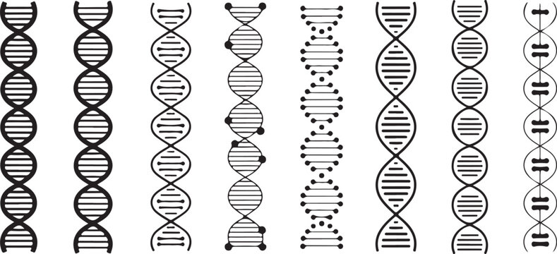 Dna double helix structures illustration
