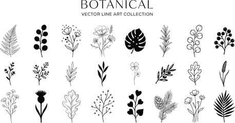Fototapeta premium Botanical vector line art collection featuring elegant black floral elements wild flowers leaves and branches isolated on white background for minimalist graphic design