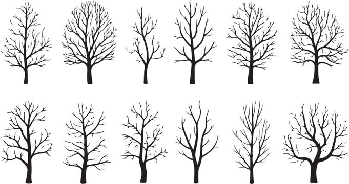 Leafless deciduous trees in winter illustration